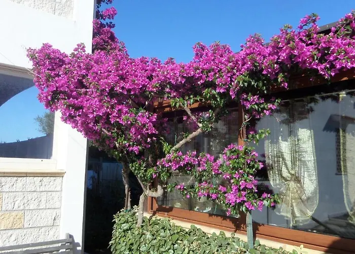 B&B La Posada Stintino